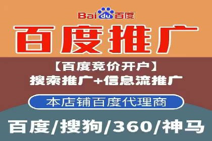 百度竞价推广运营策略：成功案例解析